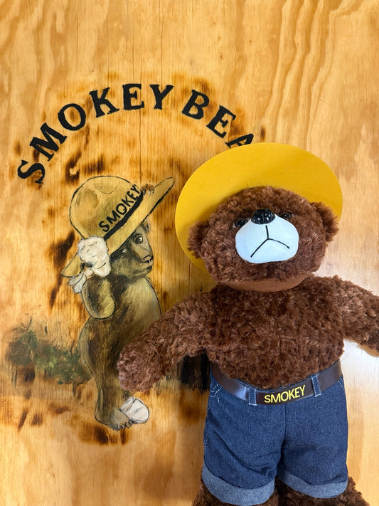 Officially licensed Smokey Bear 18 inch plush
